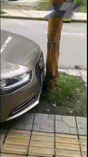 这才是老司机，能在这么窄的地方停车，怎么把车开出来呢